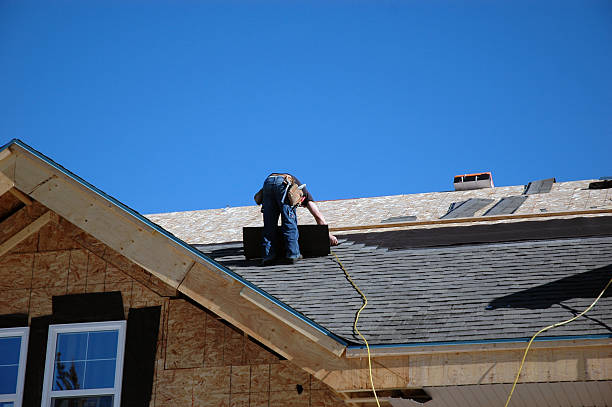 Roof Moss and Algae Removal in Lakemore, OH